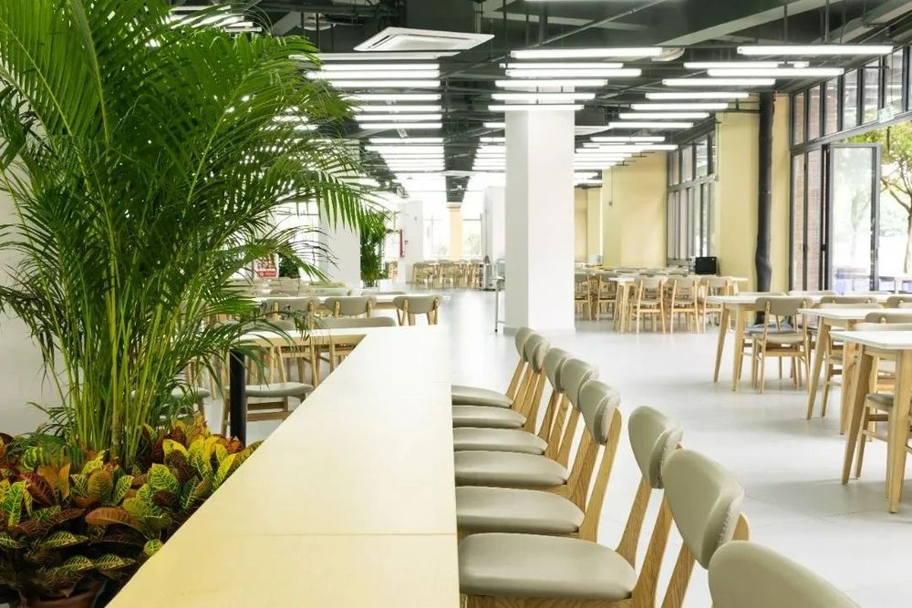 廣州天省實驗學校